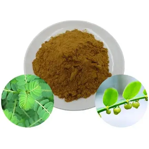 Ứng dụng Cao Diệp Hạ Châu trong chăn nuôi tôm 2 cao-diep-ha-chau