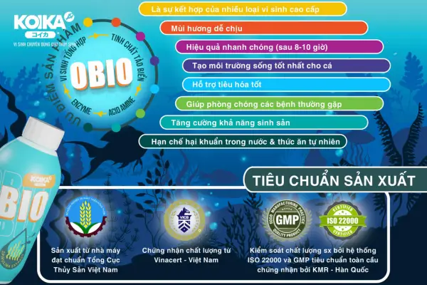 Tại sao mọi người nên lựa chọn men vi sinh KOIKA OBIO 2 gioi-thieu-chung-ve-men-vi-sinh-koika-obio