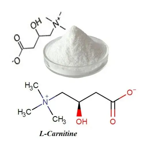 Bổ sung L-Carnitine vào trong khẩu phần ăn của thủy sản 2 l-carnitine
