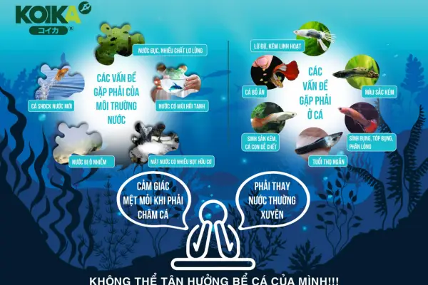 men-vi-sinh-obio-giam-mui-hoi-tanh-cho-ho-ca