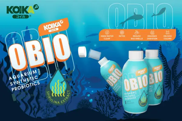 vi-sao-koika-obio-men-vi-sinh-dot-pha-2023-ra-doi