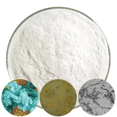 Tổng quan về Vi sinh khử phèn Thiobacillus Spp 4 vi-sinh-khu-phen-thiobacillus-spp