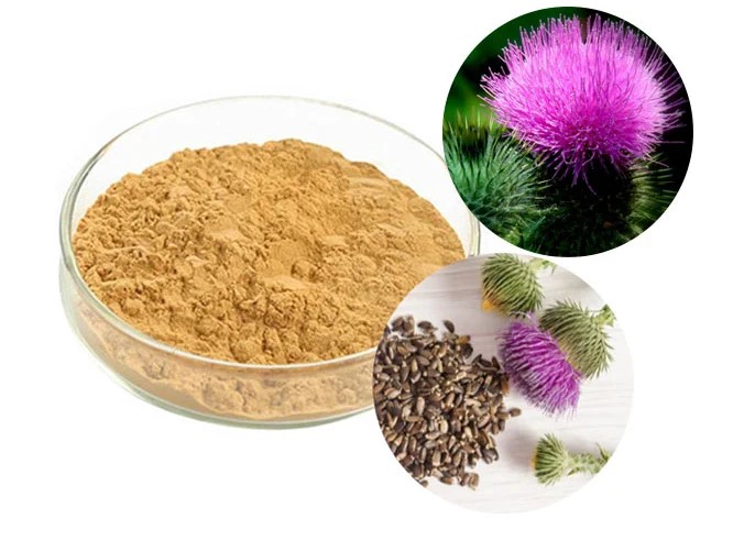 Silymarin | Chiết xuất cây kế sữa (cây cúc gai) - Siêu thảo dược dành riêng cho gan tôm 2 silymarin-silybin-chiet-xuat-cay-ke-sua-cao-kho-ke-sua-chiet-xuat-cay-cuc-gai
