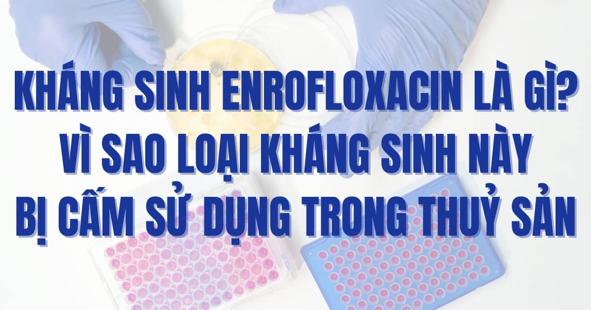 khang-sinh-enrofloxacin-la-gi-vi-sao-loai-khang-sinh-nay-bi-cam-su-dung-trong-thuy-san