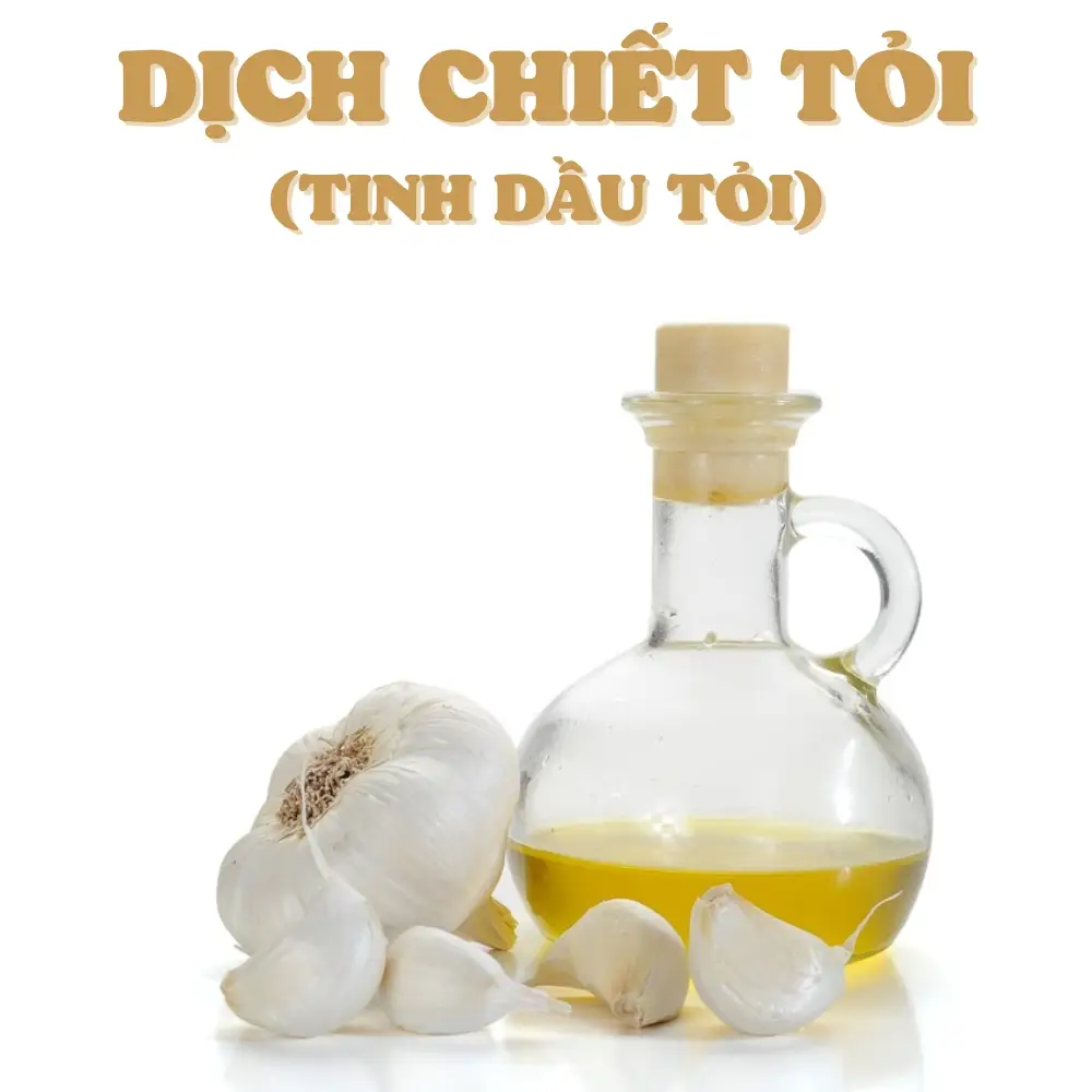 Mô hình nuôi heo bằng thảo dược 4 dich-chiet-toi-tinh-dau-toi-garlic-extract-liquid