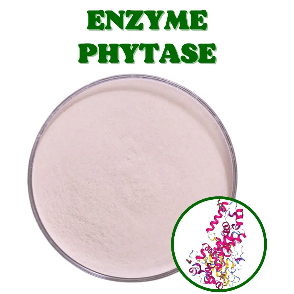Các chiến lược để tối ưu hóa chức năng đường tiêu hóa ở heo con 3 enzyme-phytase