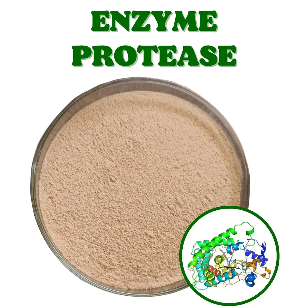 Các chiến lược để tối ưu hóa chức năng đường tiêu hóa ở heo con 2 enzyme-protease