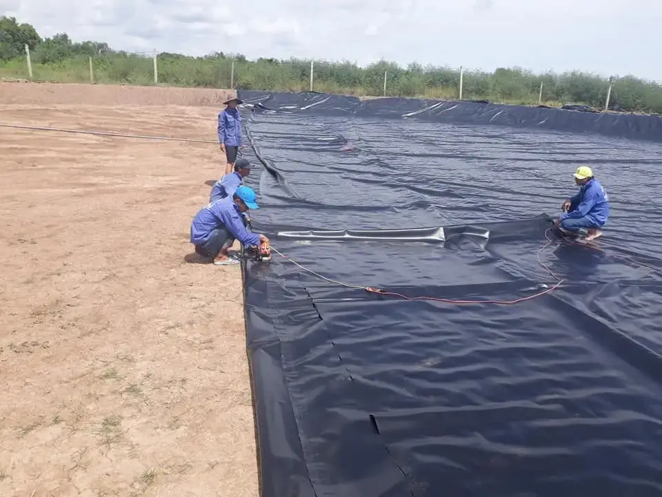 quy-trinh-lot-bat-hdpe-cho-ao-nuoi-thuy-san