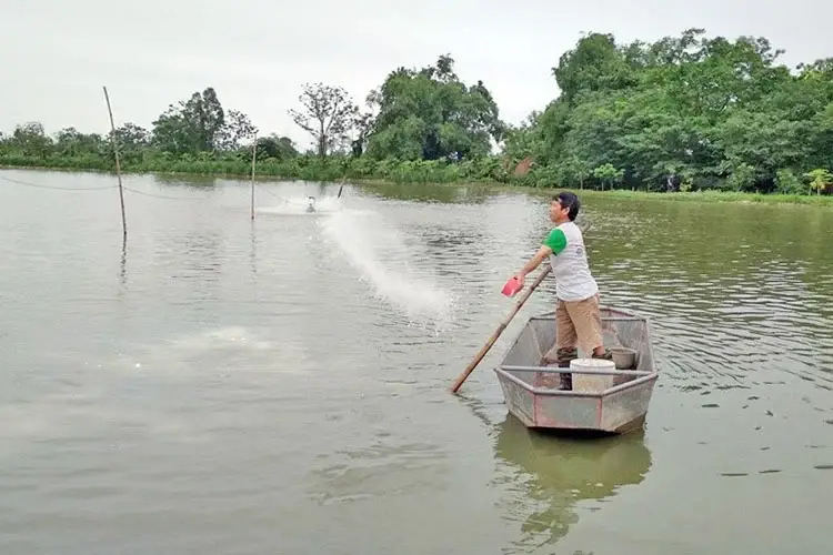 tat-tcca-de-diet-khuan-trong-ao-tom