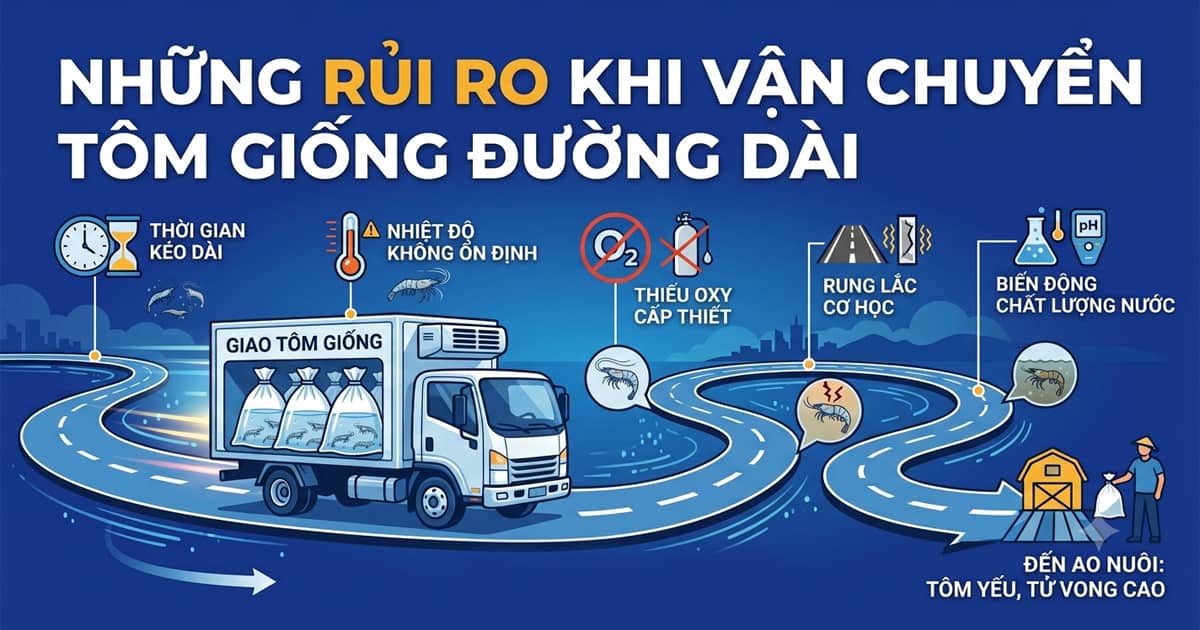 nhung-rui-ro-khi-van-chuyen-tom-giong-duong-dai