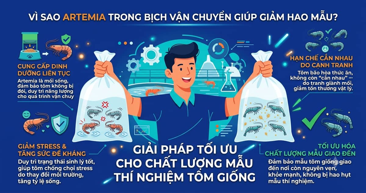vi-sao-artemia-trong-bich-van-chuyen-giup-giam-hao-mau