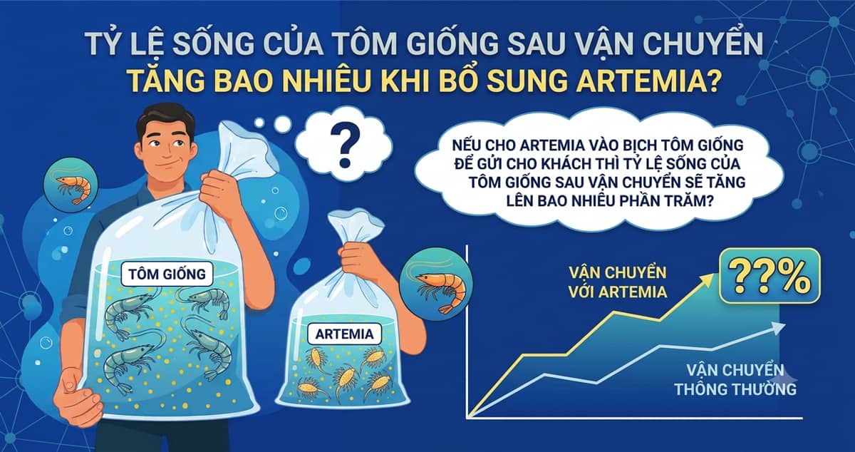ty-le-song-cua-tom-giong-sau-van-chuyen-tang-bao-nhieu-khi-bo-sung-artemia